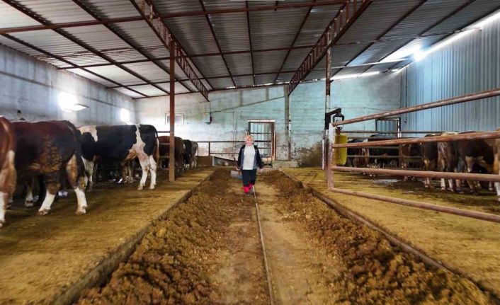 Kadınsın yapamazsın dediler, çiftlik kurdu