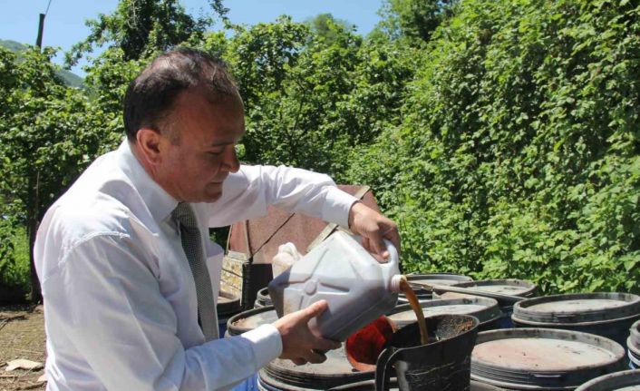 Kahverengi kokarcaya sıvı balık gübreli önlem