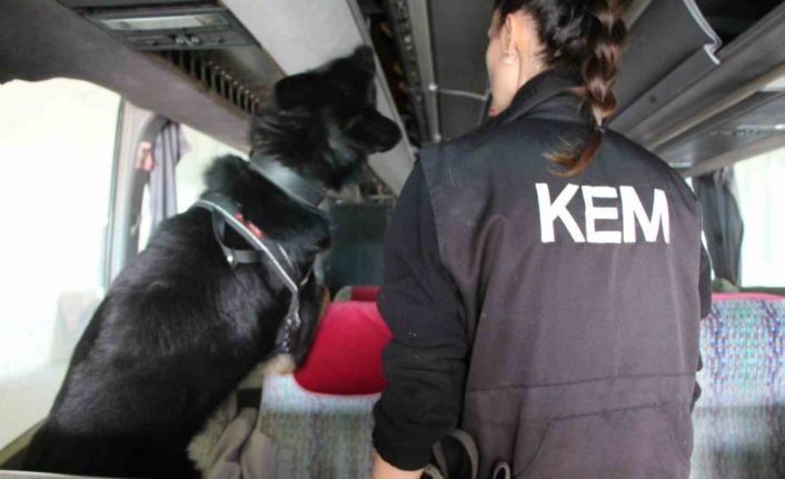 Kapıkule’de 77 kilo ecstacy ele geçirildi