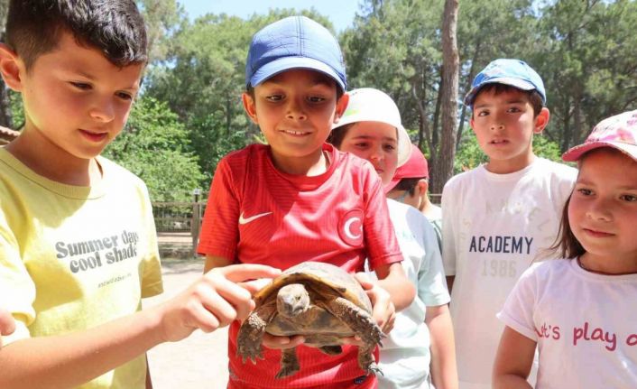 Kaplumbağaları inceleyip hem öğrendiler hem eğlendiler