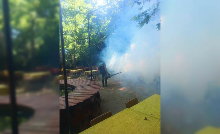 Karacasu’da sinek ve larva ilaçlaması yapıldı