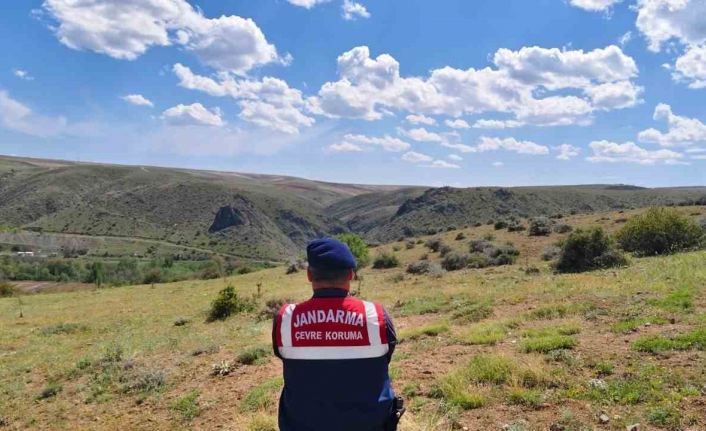 Karanlıkdere Vadisi’nde jandarmadan denetim
