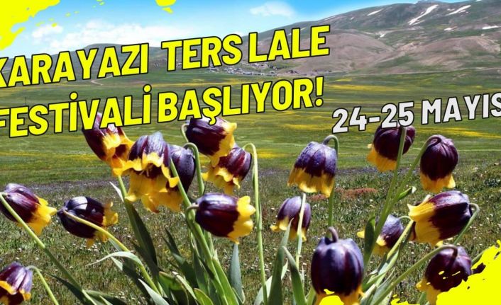 Karayazı ters lale festivali başlıyor;