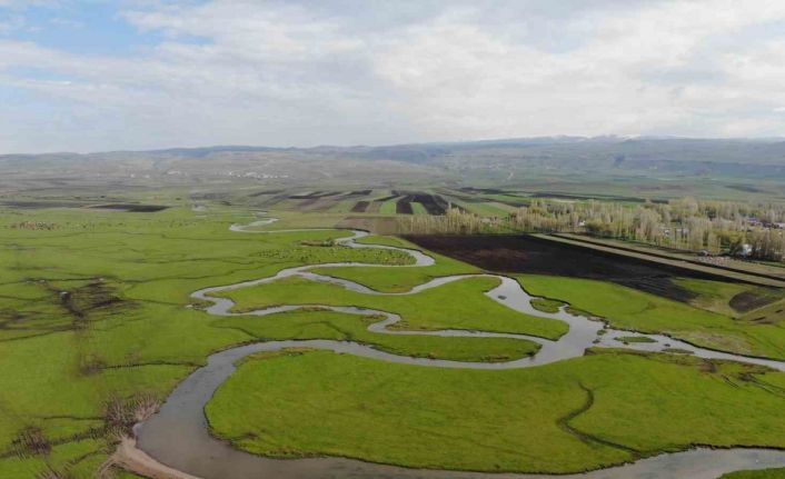 Kars’ta tabloları kıskandıran görüntü