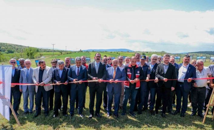 Kastamonu’da 4 yıllık çalışmayla 483 dekar mera alanı oluşturuldu