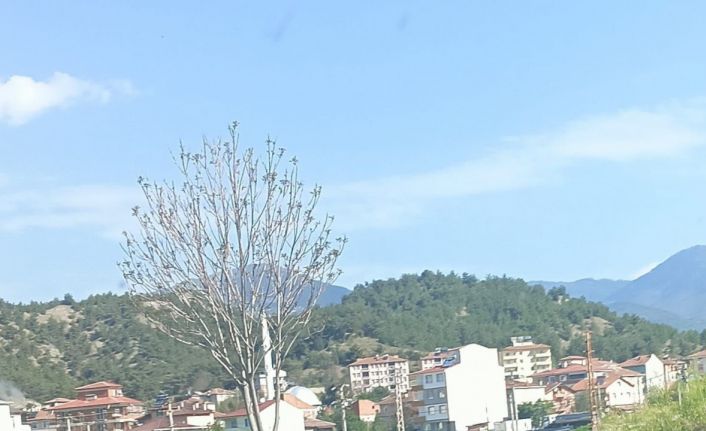 Kastamonu’da otomobil ağaca çarptı: 2 yaralı