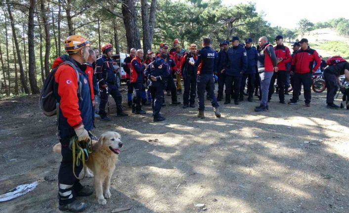Kayıp Çevre, Şehircilik ve İklim Değişikliği İl Müdür Yardımcısını arama çalışmaları 120 kişilik ekiple devam ediyor