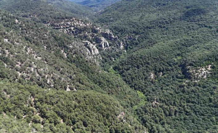 Kayıp müdür kanyon geçişi yaparken sele kapılmış