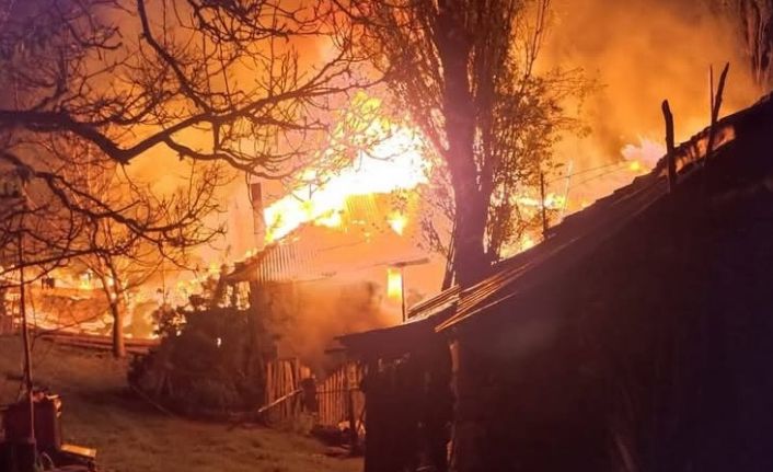 Köyde çıkan yangında 3 ev kullanılamaz hale geldi