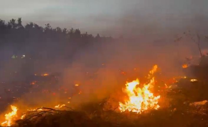 Köylüler ve ekiplerin seferber olduğu yangın kontrol altına alındı