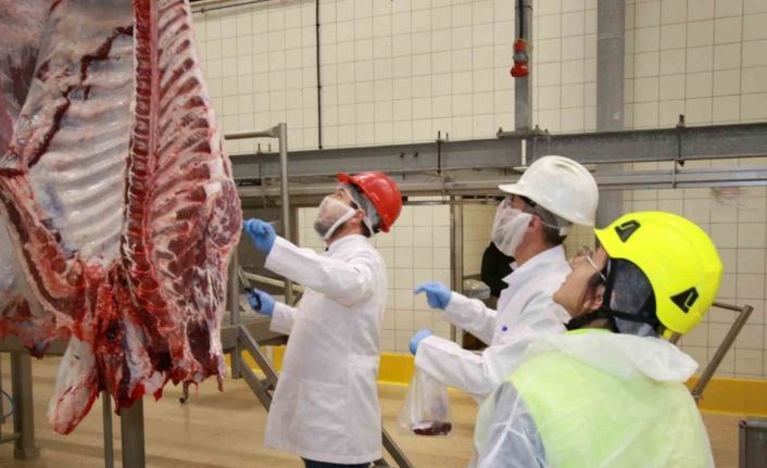 Kurban kesim başvuruları 15 Mayıs’ta başlıyor