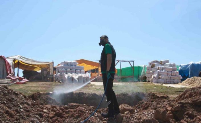 Kurban pazar yerleri ilaçlanıyor