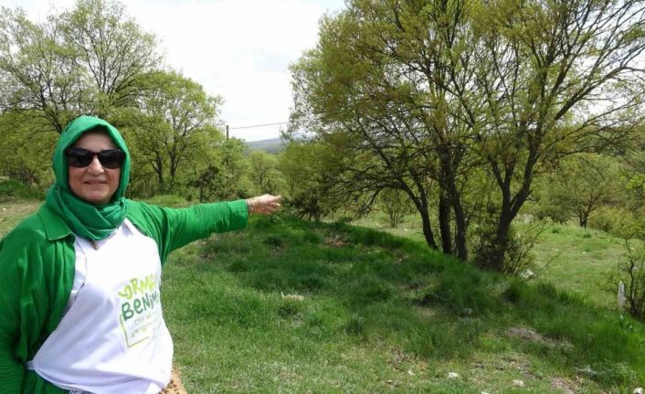 Kütahya’nın Haccazizler Mahallesi doğaseverleri bekliyor