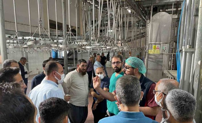 Malatya Büyükşehir Belediyesi’nden vatandaşlara ‘sertifikalı kurban kesim elemanı’ eğitimi