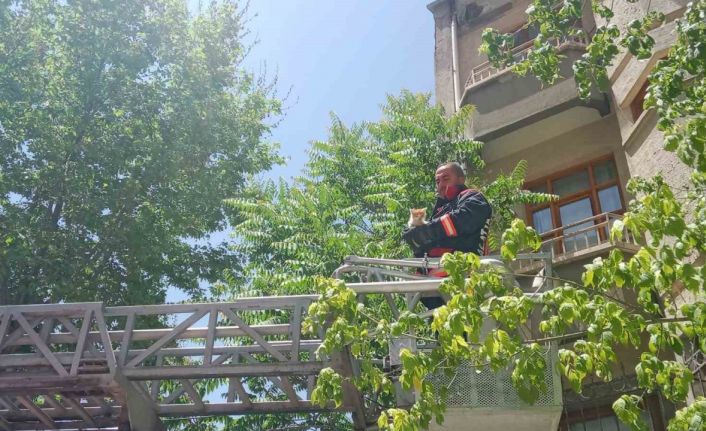 Malatya’da metruk evin penceresine sıkışan kedi itfaiye tarafından kurtarıldı