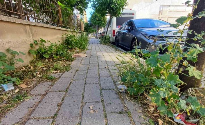 Mera değil Efeler’in merkez mahallesi