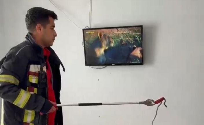 Mersin’de 2 gün önce eve giren yılanı itfaiye erleri bulup çıkarttı