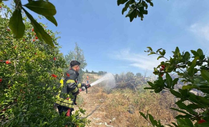Mersin’de çalılık yangını bahçeye sıçramadan söndürüldü