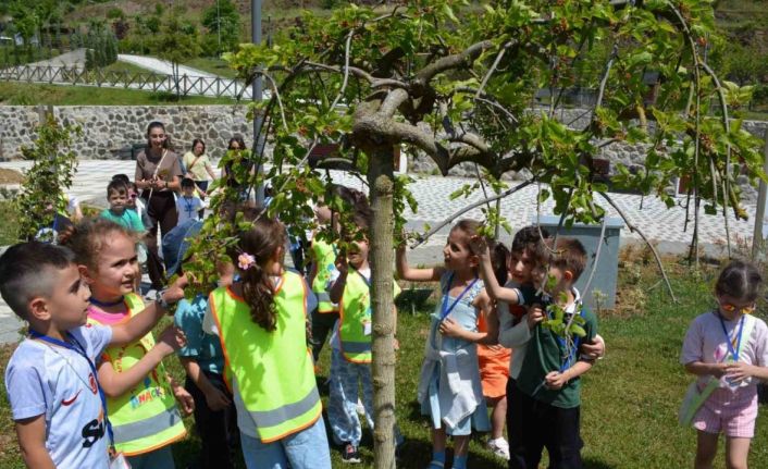 Minik öğrenciler doğayla tanıştı