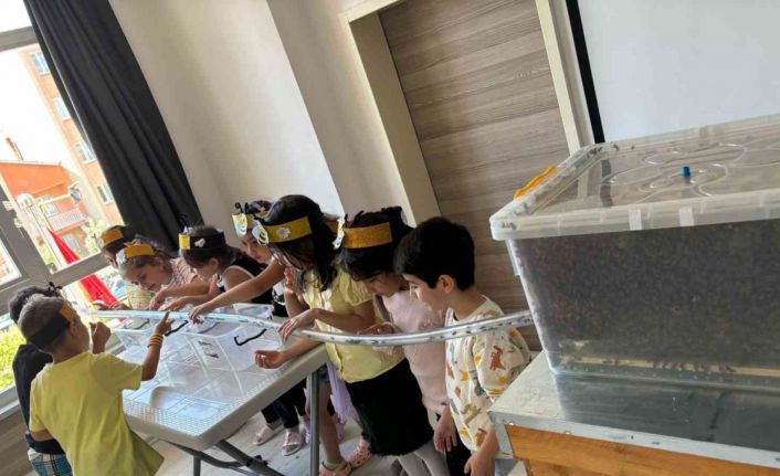 Minikler, arılarla buluştu balın yolculuğunu öğrendi