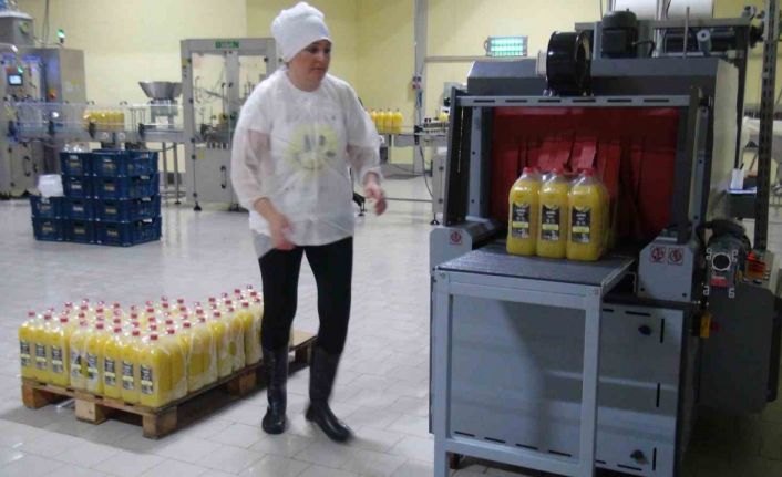 Muğla’nın ürünlerini dünyaya pazarlayacaklar