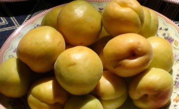 Mut Karacaoğlan Kayısı Kültür ve Sanat Festivali 30 Mayıs’ta