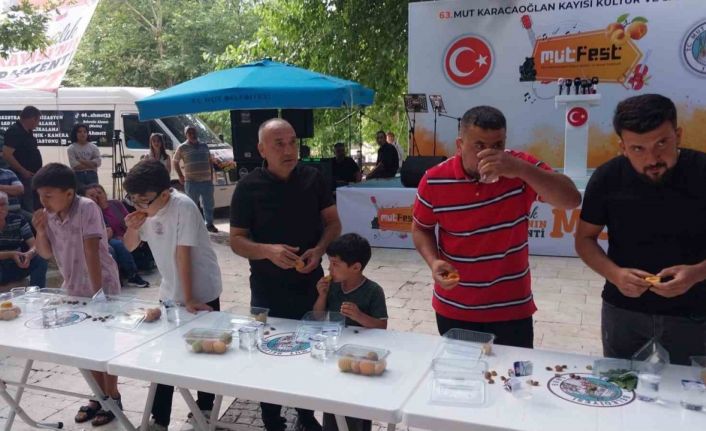 Mut Karacaoğlan ve Kayısı Festivali coşkulu başladı