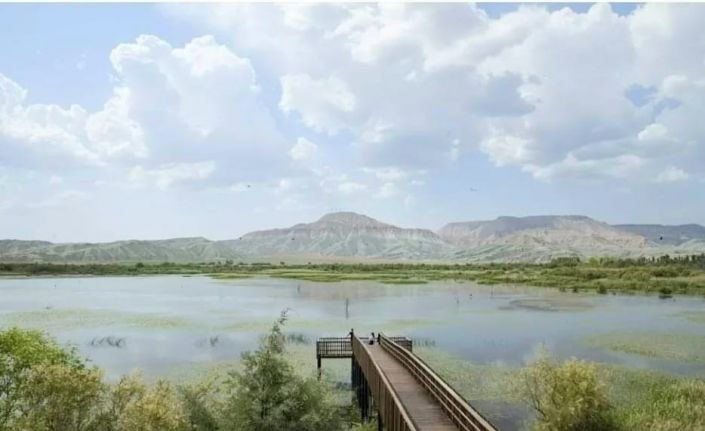 ‘Nilüfer Cenneti’ olarak bilinen o göl sportif olta balıkçılığına açıldı