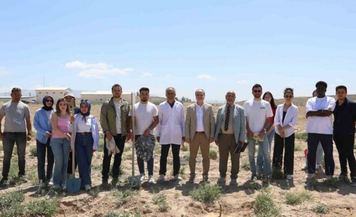 NÖHÜ, Niğde bağlarını yeniden canlandırıyor