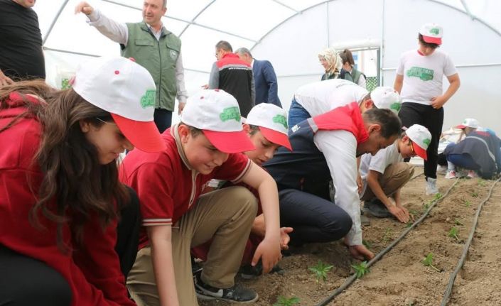 Öğrenciler seracılık, bahçecilik ve tarım uygulamalarıyla üretim sürecini yerinde öğreniyor