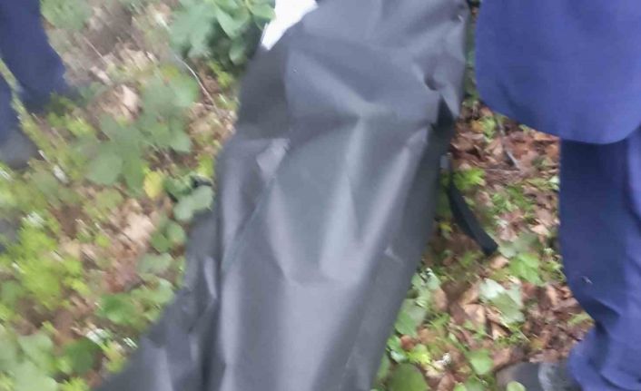 Ordu’da 1 aydır kayıp görme engelli yaşlı adam derede ölü bulundu
