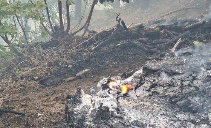 Orman yangını sürüyor: Ekipler 5 helikopter ve 110 personelle müdahale ediyor