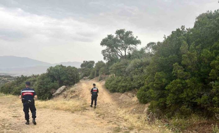 Orman yangınlarına karşı denetimler sıklaştırıldı