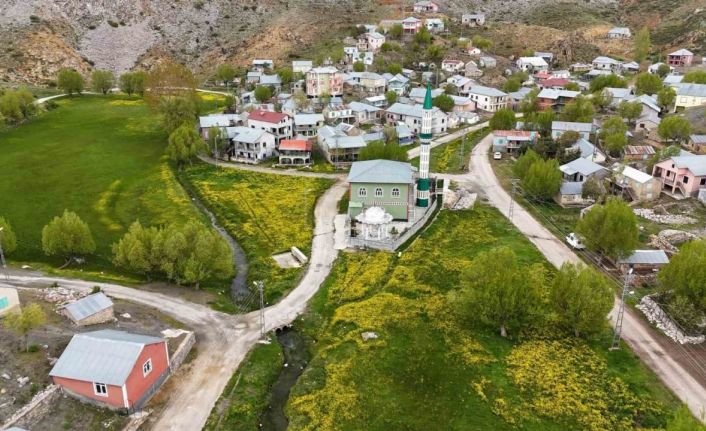 Orta Toroslardaki yaylalar görsel şölen sunuyor