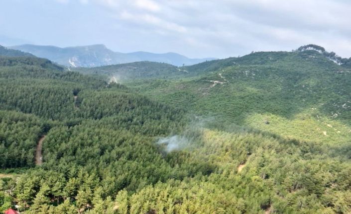 Osmaniye’de ormanlık alanlara girişler yasaklandı