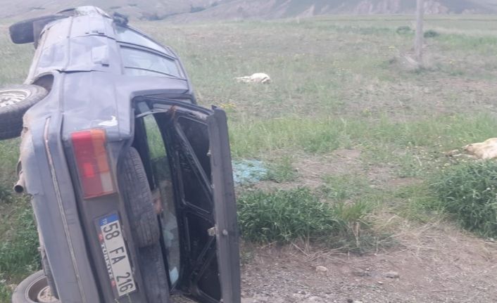Otomobil koyun sürüsüne çarptı: 2 kişi yaralandı, 3 koyun telef oldu
