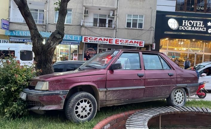 Park halindeyken haraket eden otomobil ağaraca çarparak durabildi