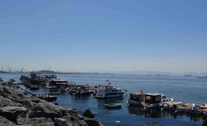 Pendik’te balıkçılara sürpriz: Oltaya köpek balığı takıldı