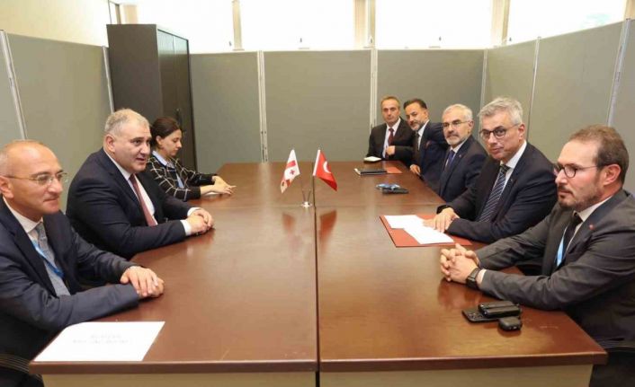 Sağlık Bakanı Memişoğlu, Gürcistanlı mevkidaşı ile bir araya geldi