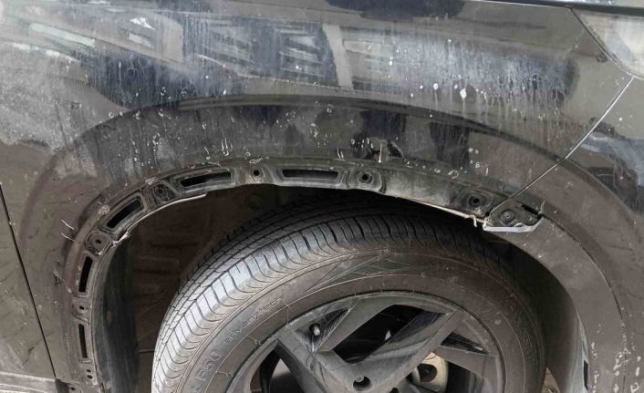 Sahipsiz köpek sürüsü park halindeki araca saldırarak zarar verdi