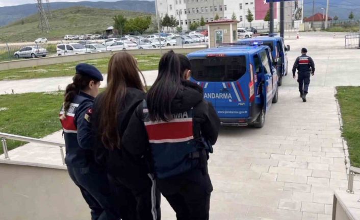 Sahte araç kiralama siteleriyle 160 milyon TL vurgun yapan çeteye 5 ilde operasyon: 19 gözaltı