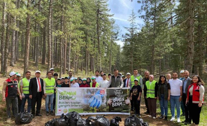 Saimbeyli ormanlarında temizlik yapıldı