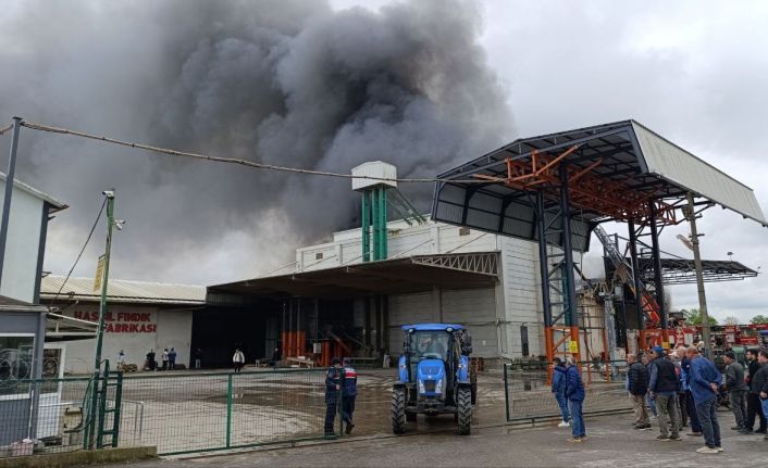 Sakarya’da fabrika yangını