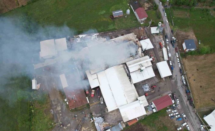 Sakarya’da fındık kırım fabrikasındaki yangın havadan görüntülendi
