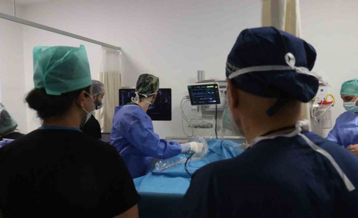 Sakarya’dan dünyaya tıp eğitimi: SEAH, uluslararası eğitimin üssü oldu