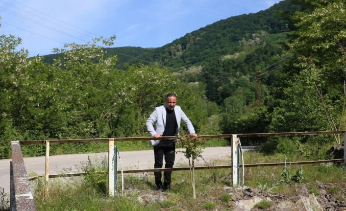 Sakin şehirde yarım asırlık köprü yenileniyor