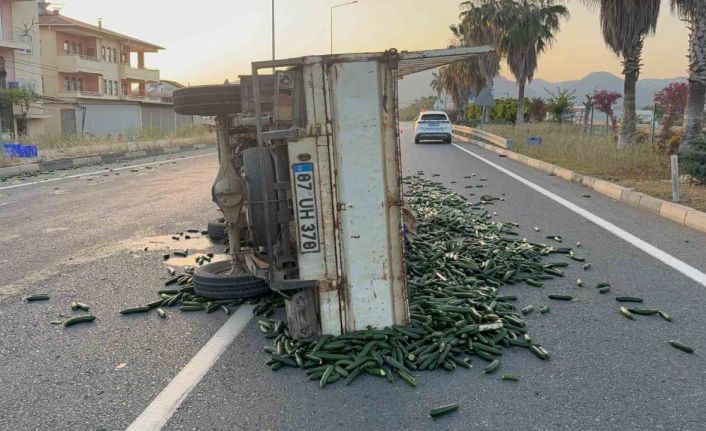 Salatalık yüklü kamyonet devrildi: Salatalıklar yola savruldu