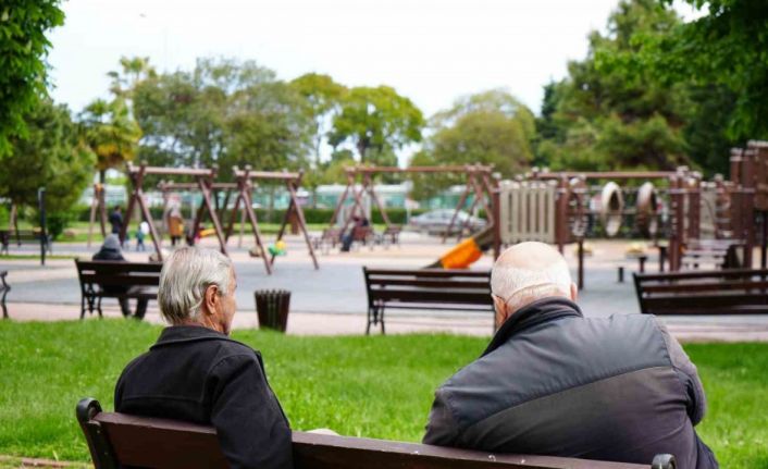 Samsun’da hanehalkı eriyor: 16 yıldır sürekli düşüşte