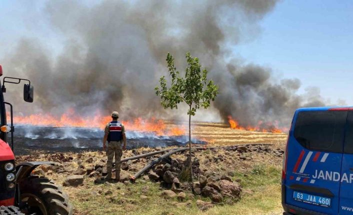Şanlıurfa’da anız yakanlara para cezası ve adli işlem uygulanacak