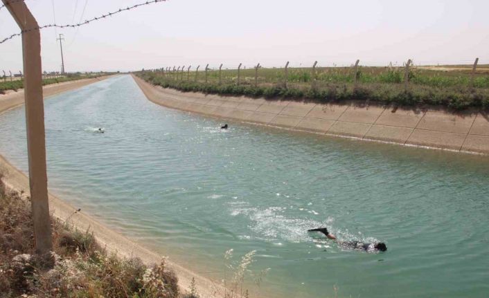 Şanlıurfa’da sulama kanalına düşen çocuk aranıyor